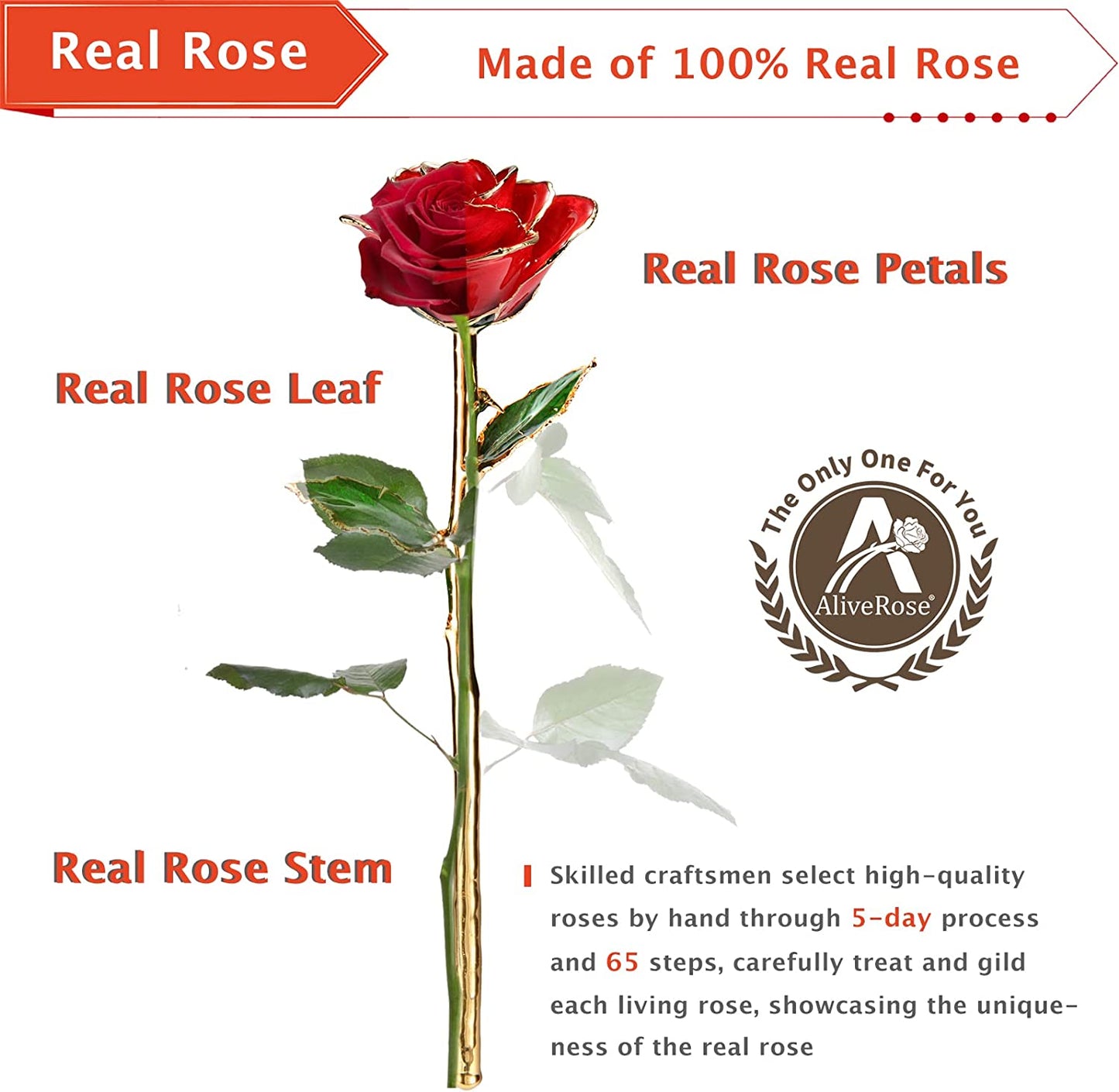 Valentines Day Gift Rose, Long Stem Rose Made from 24K Gold Dipped Real Rose Gift for Her Rose(Red with Crystal Vase)